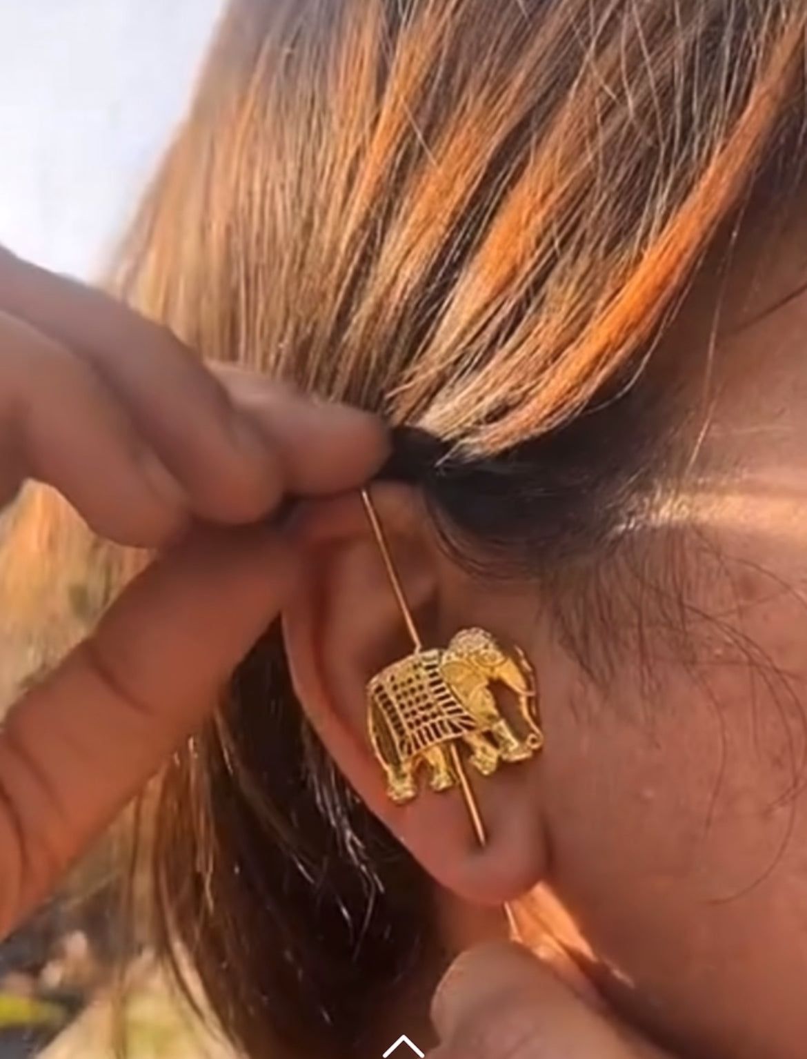 Vantara earpins (pair)