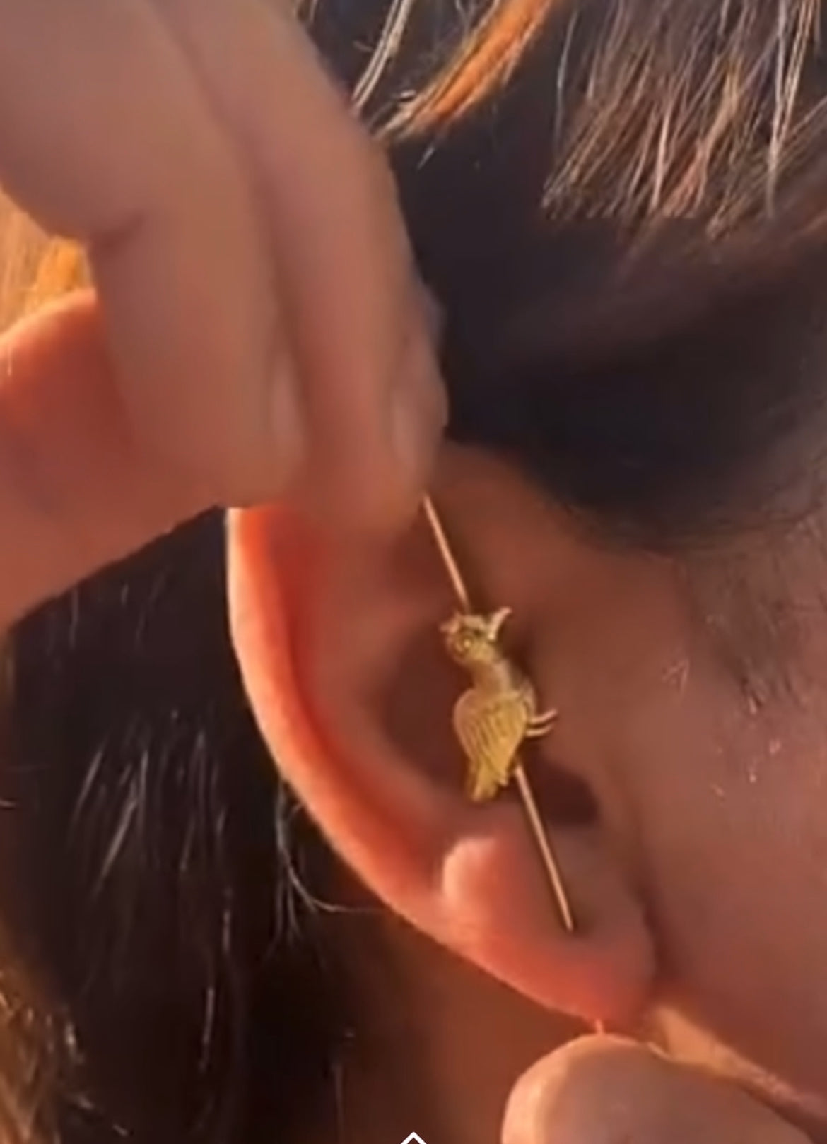 Vantara earpins (pair)